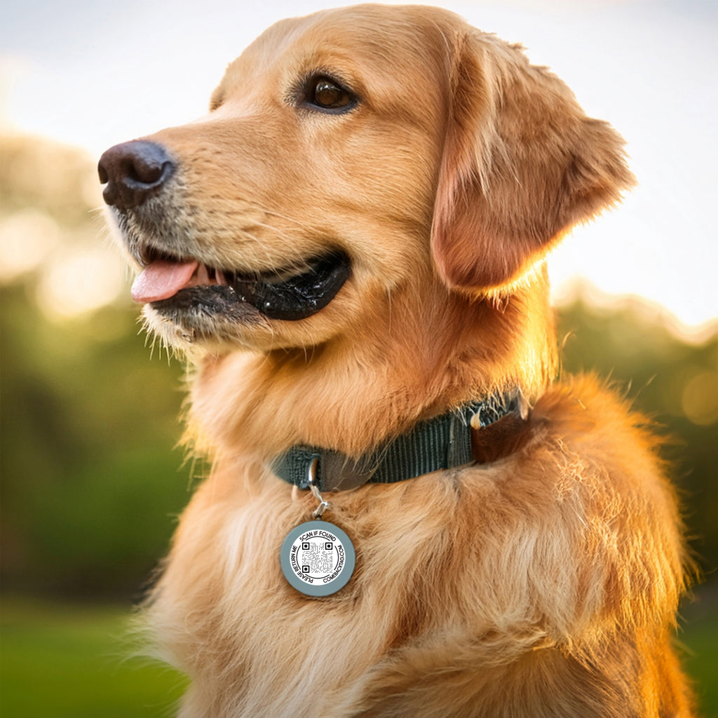 ComeBack Tag™ Lost & Found QR Tags