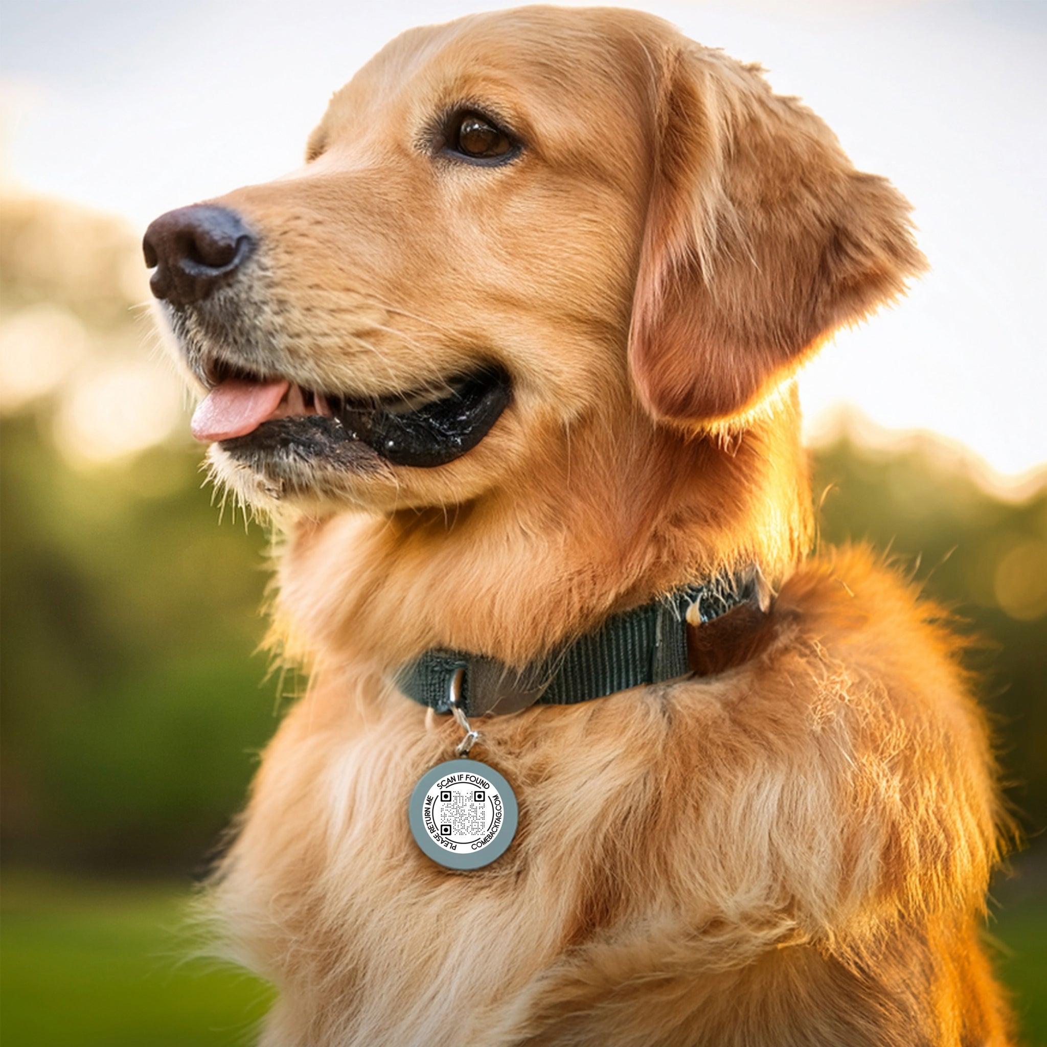 ComeBack Tag™ Lost & Found QR Tags